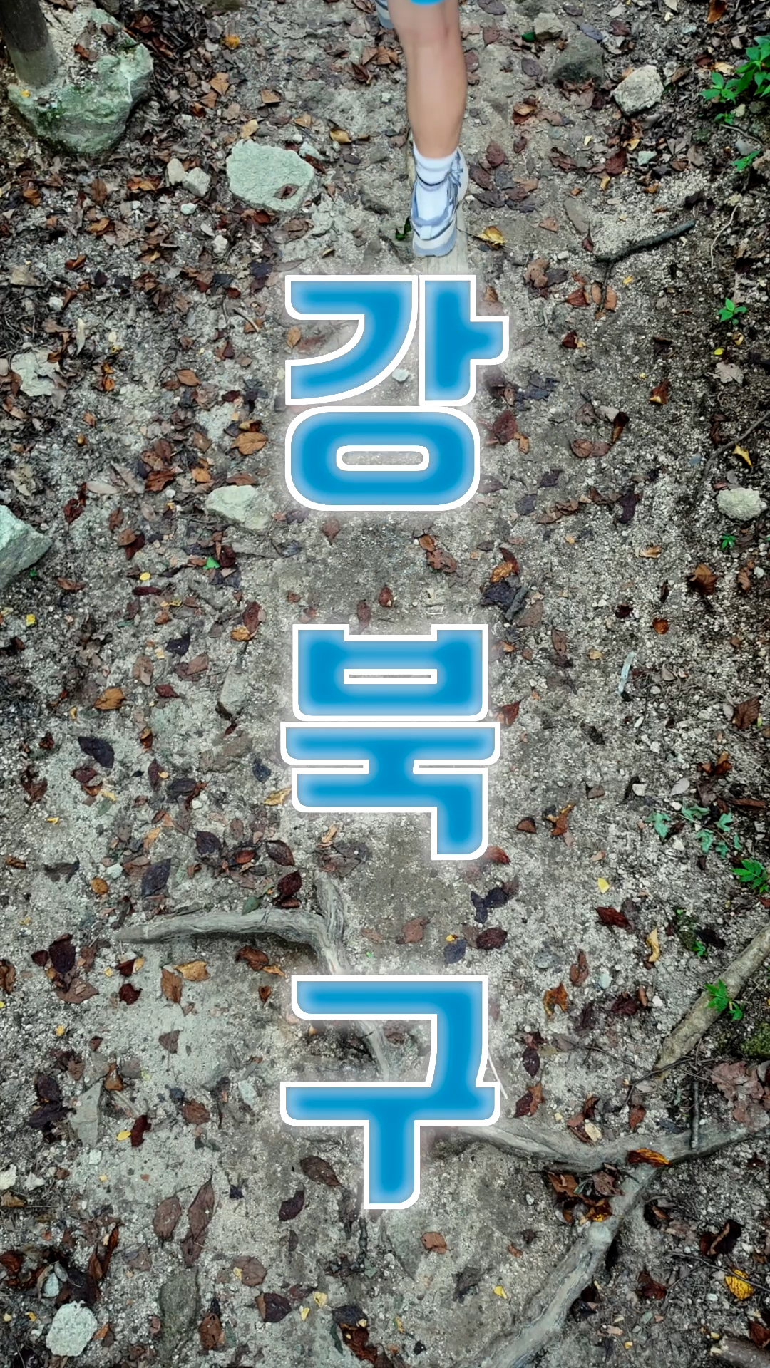 작품사진