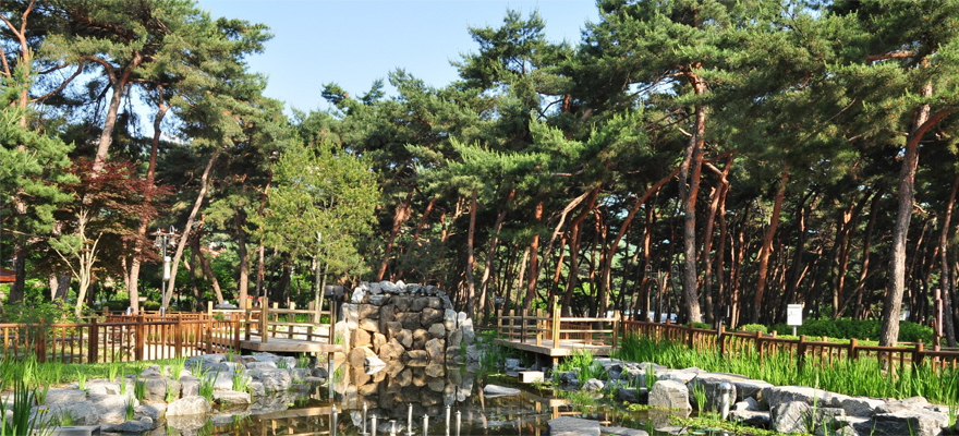 솔밭공원 이미지3